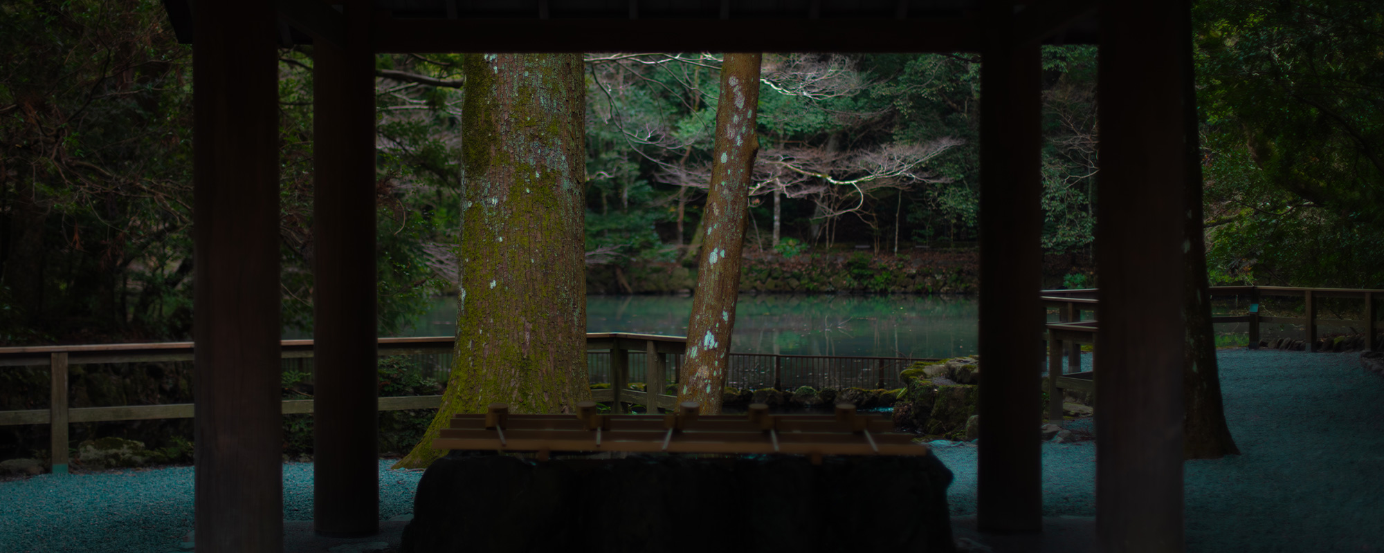 Desktop banner 1